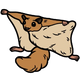 Airsquirrel - Home