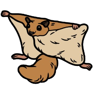Airsquirrel