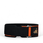 AirSquirrel CrossFit & Weightlifting Double-Buckle Lifting Belt - Airsquirrel